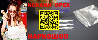 тгк Кингисепп
