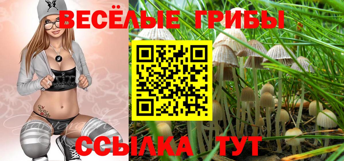 Галлюциногенные грибы Cubensis Бирск